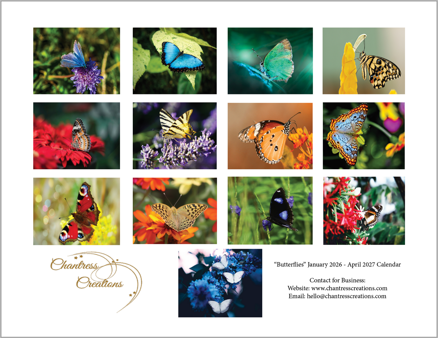 Beautiful "Butterflies" 2026 - 2027 Wall Calendar