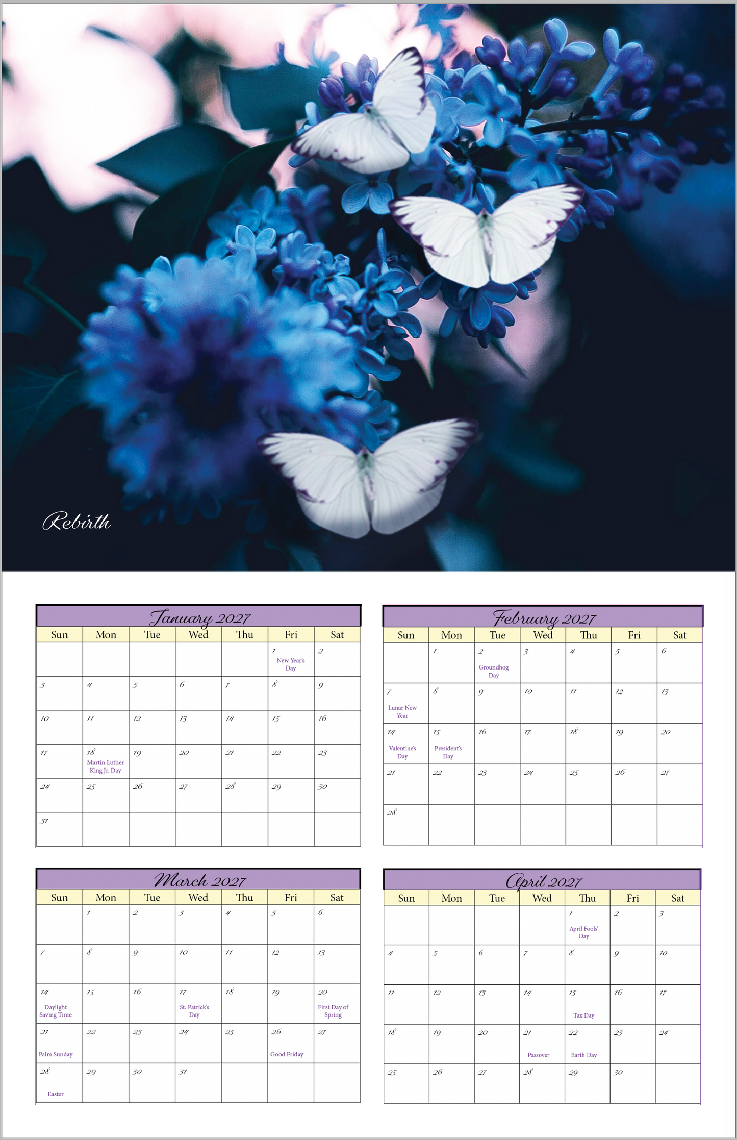Beautiful "Butterflies" 2026 - 2027 Wall Calendar