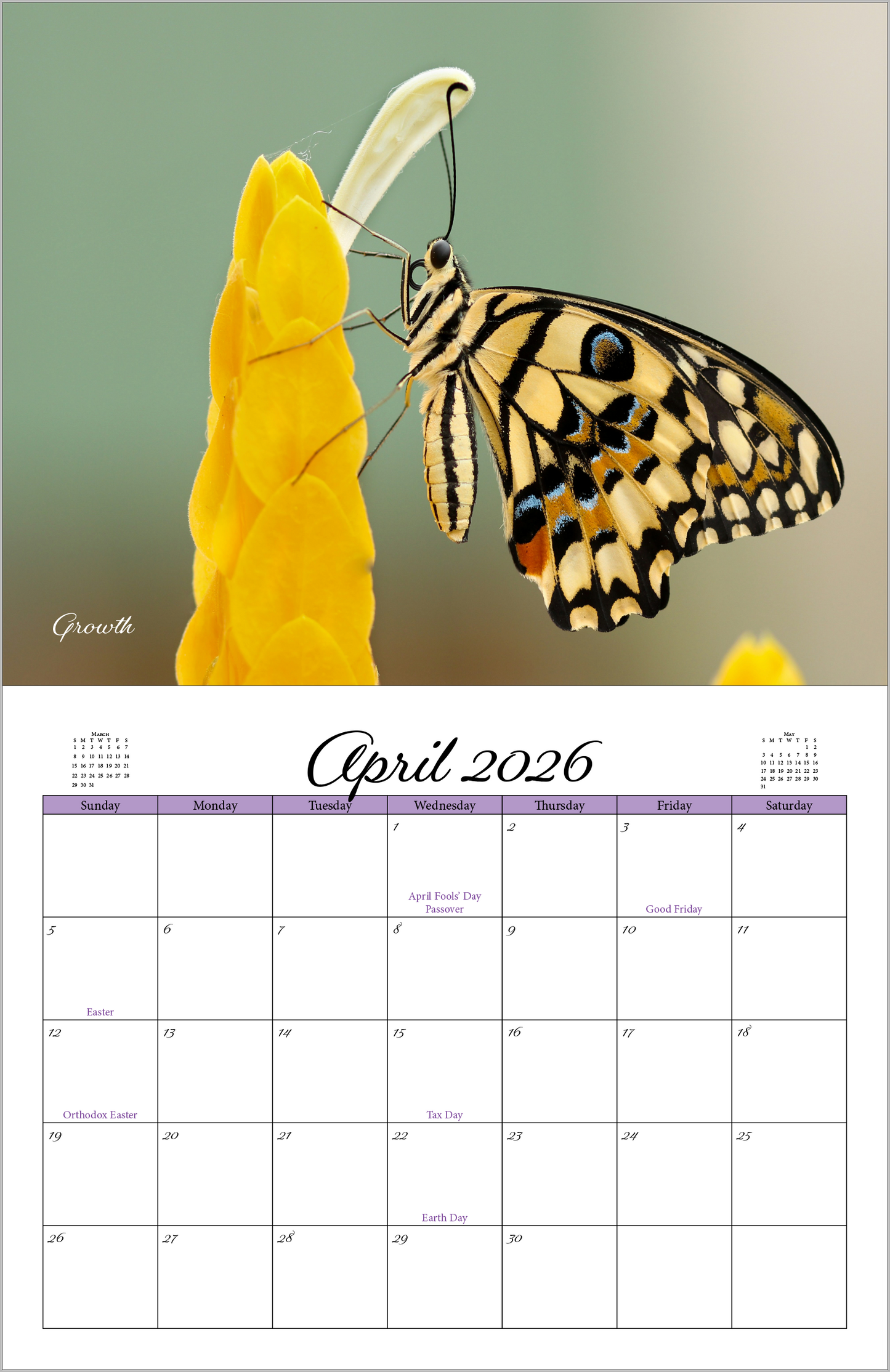 Beautiful "Butterflies" 2026 - 2027 Wall Calendar