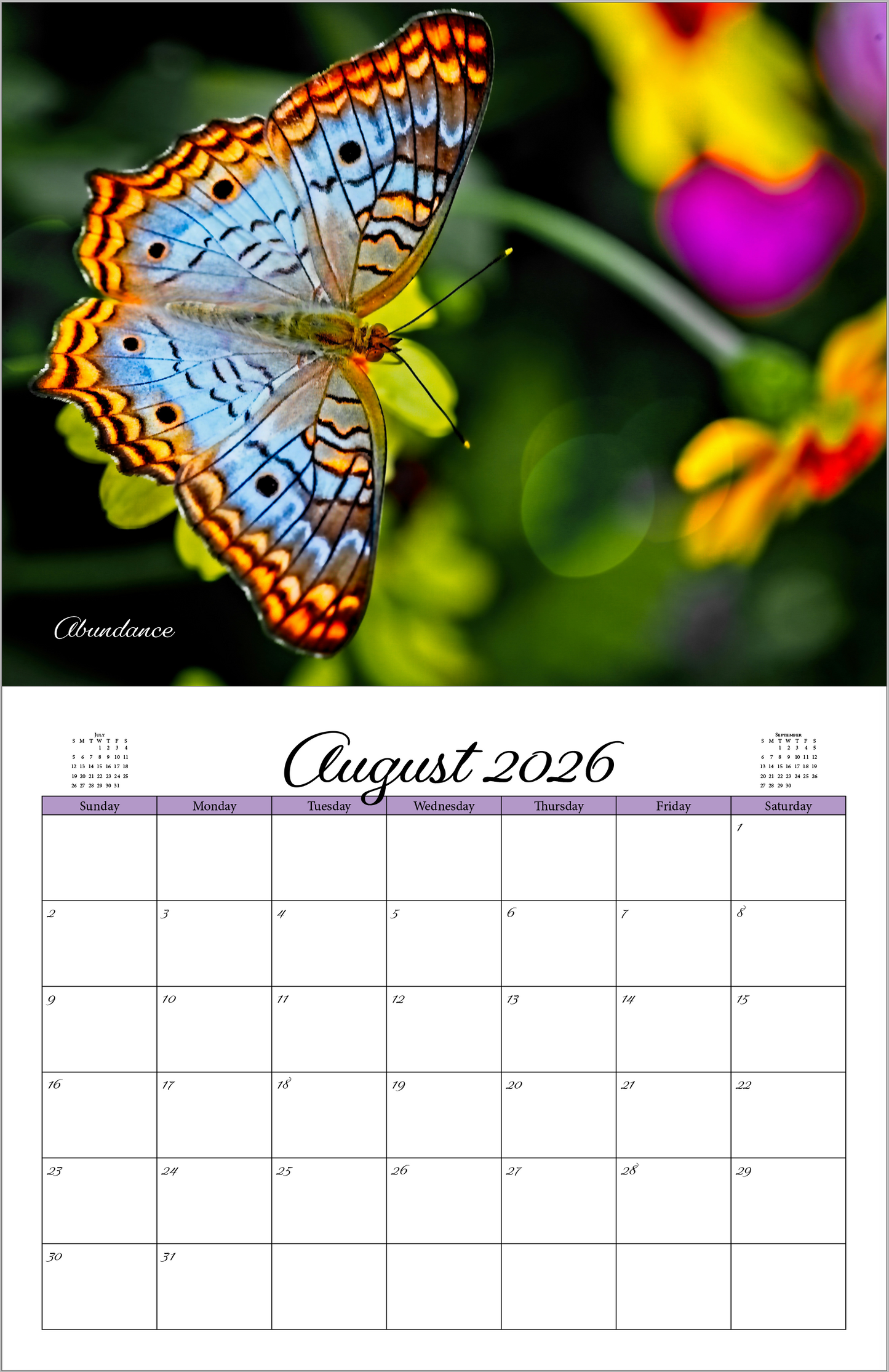 Beautiful "Butterflies" 2026 - 2027 Wall Calendar
