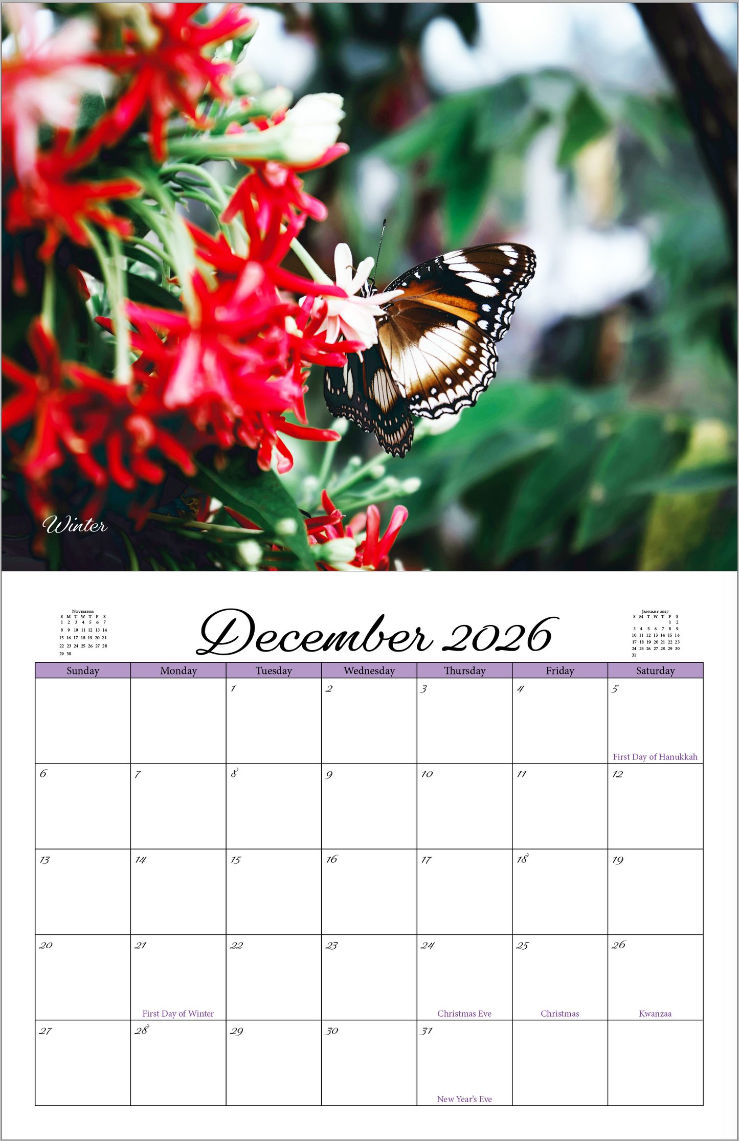 Beautiful "Butterflies" 2026 - 2027 Wall Calendar