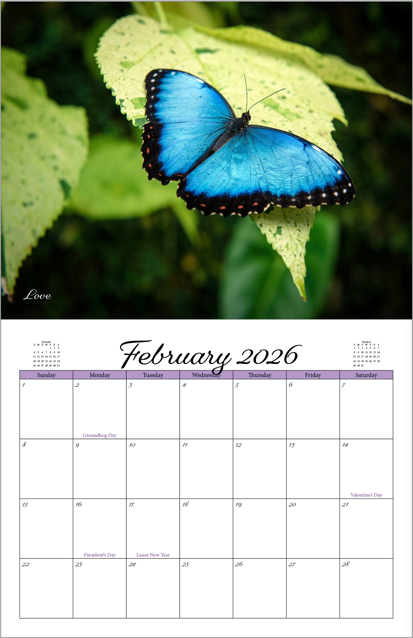 Beautiful "Butterflies" 2026 - 2027 Wall Calendar