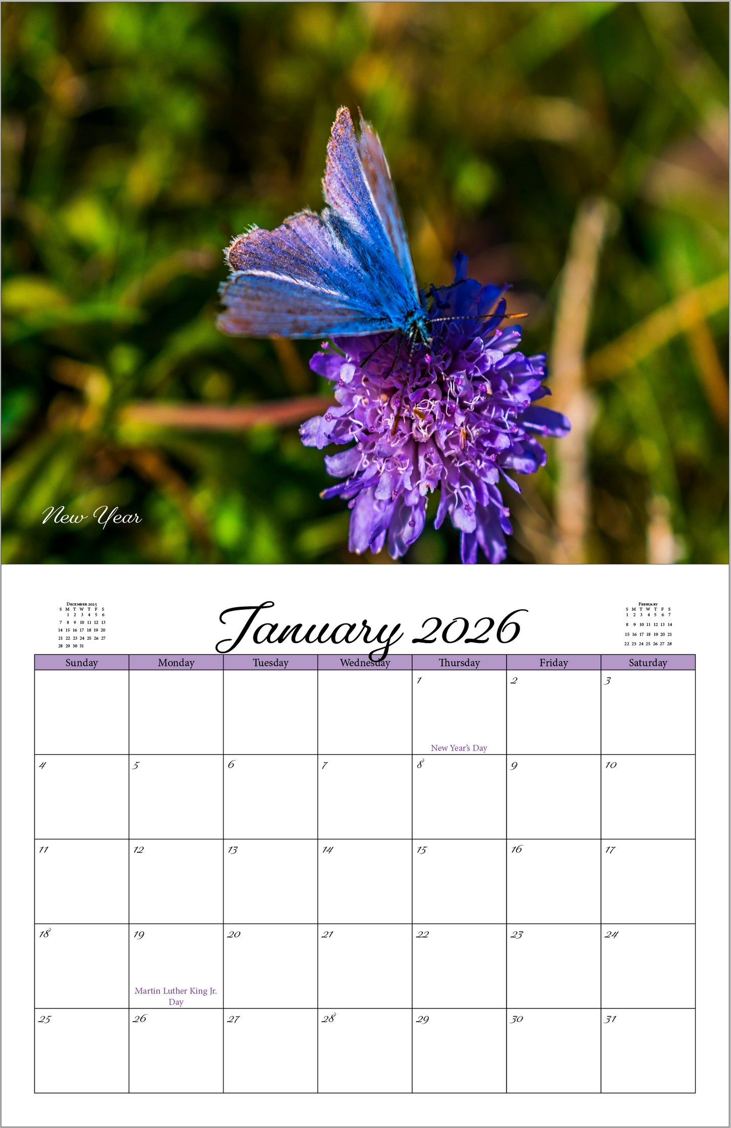 Beautiful "Butterflies" 2026 - 2027 Wall Calendar