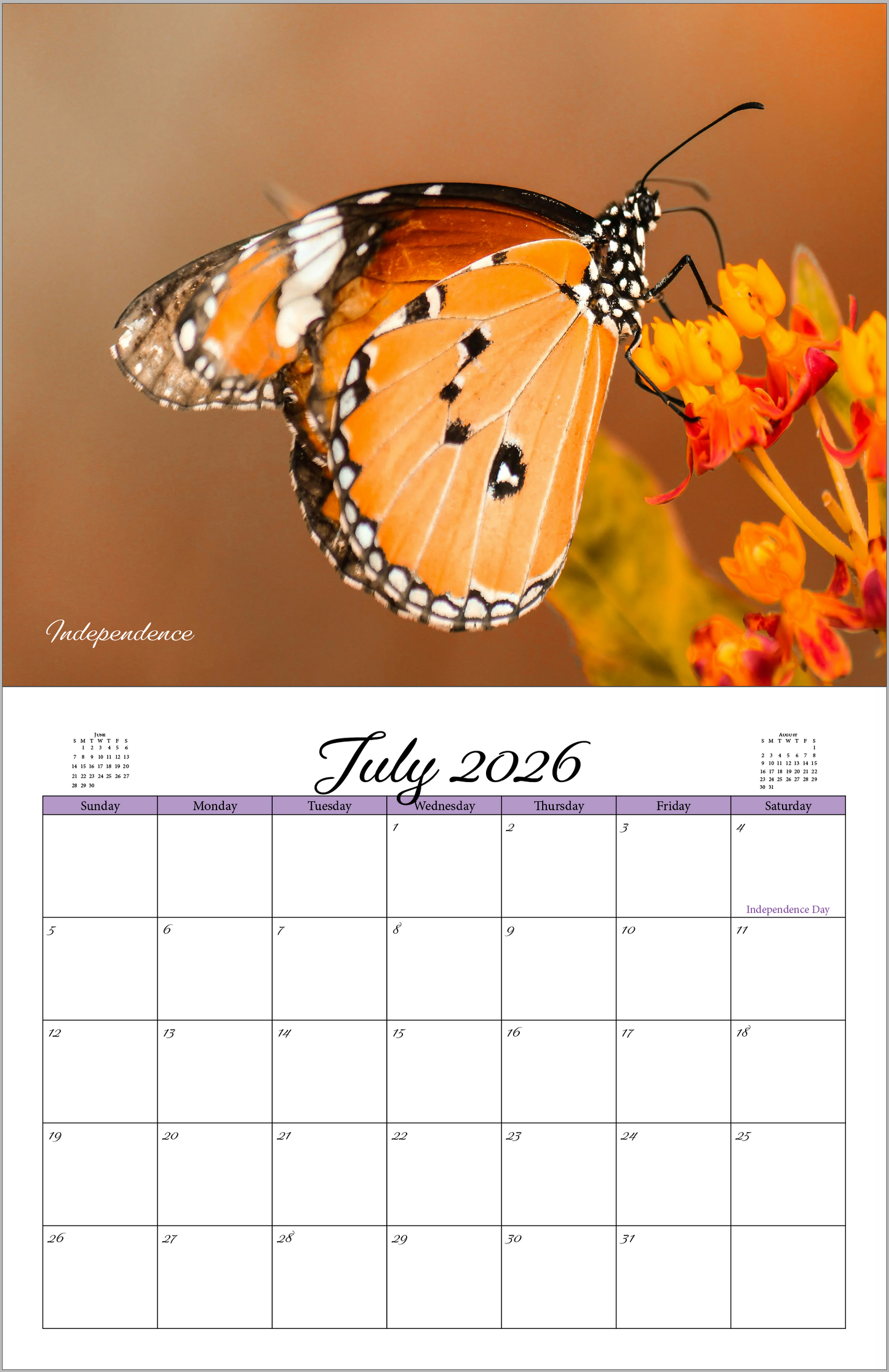 Beautiful "Butterflies" 2026 - 2027 Wall Calendar