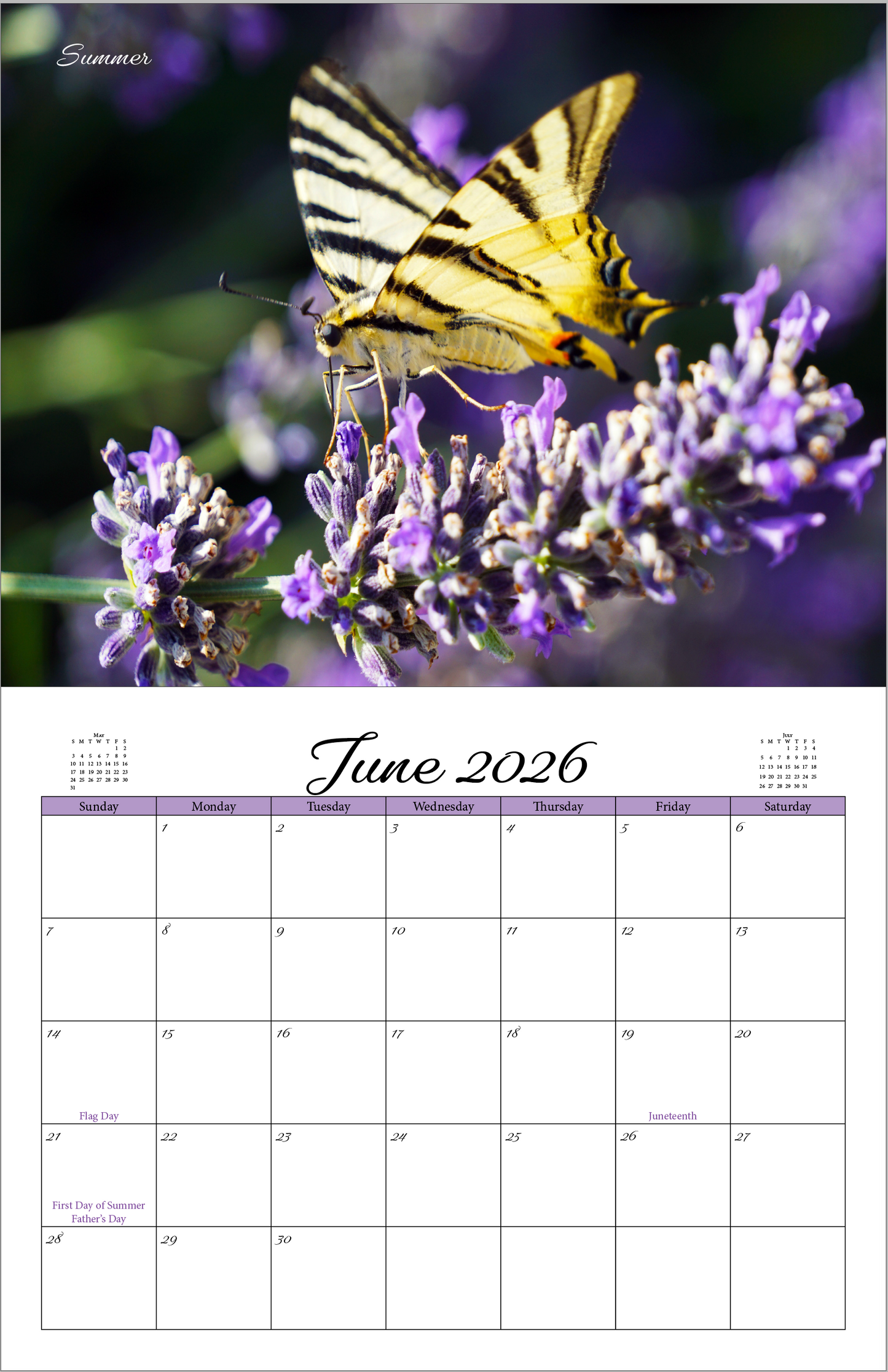 Beautiful "Butterflies" 2026 - 2027 Wall Calendar