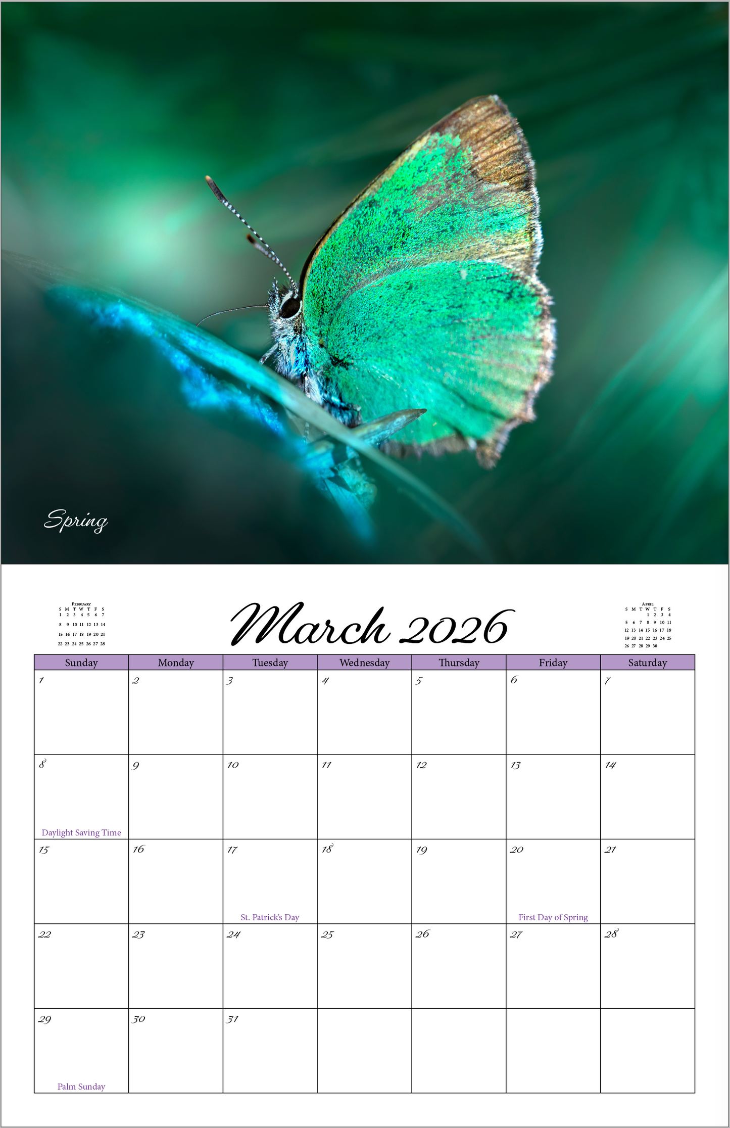 Beautiful "Butterflies" 2026 - 2027 Wall Calendar