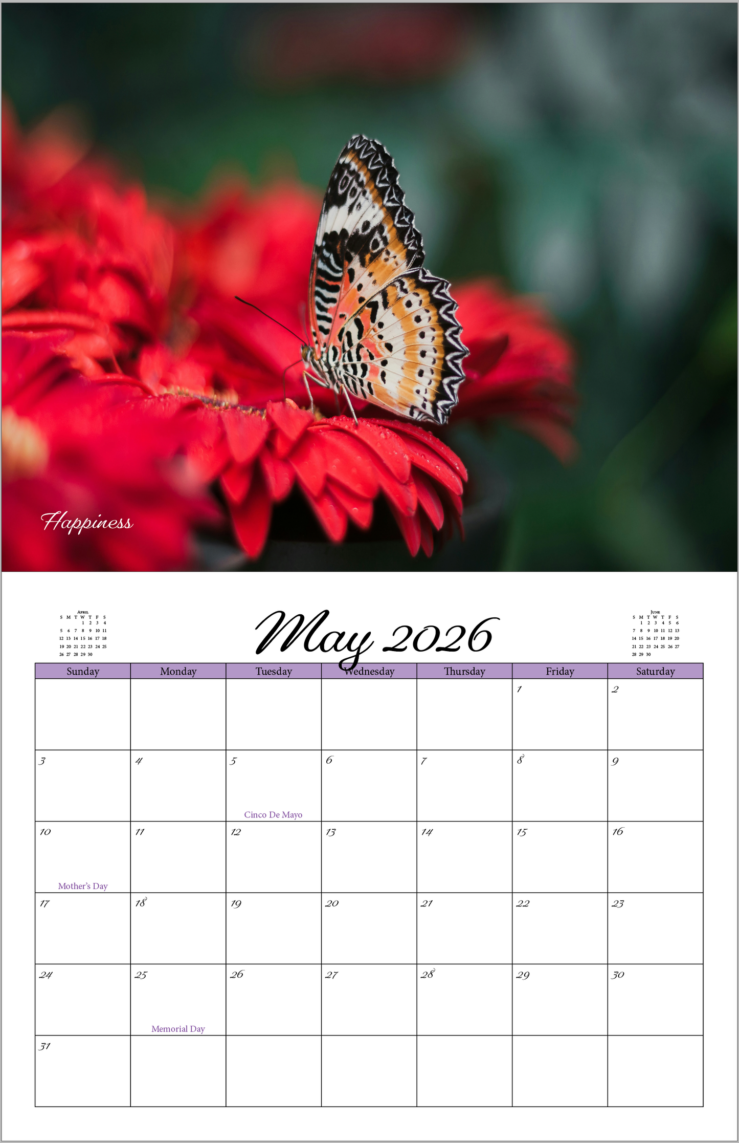 Beautiful "Butterflies" 2026 - 2027 Wall Calendar