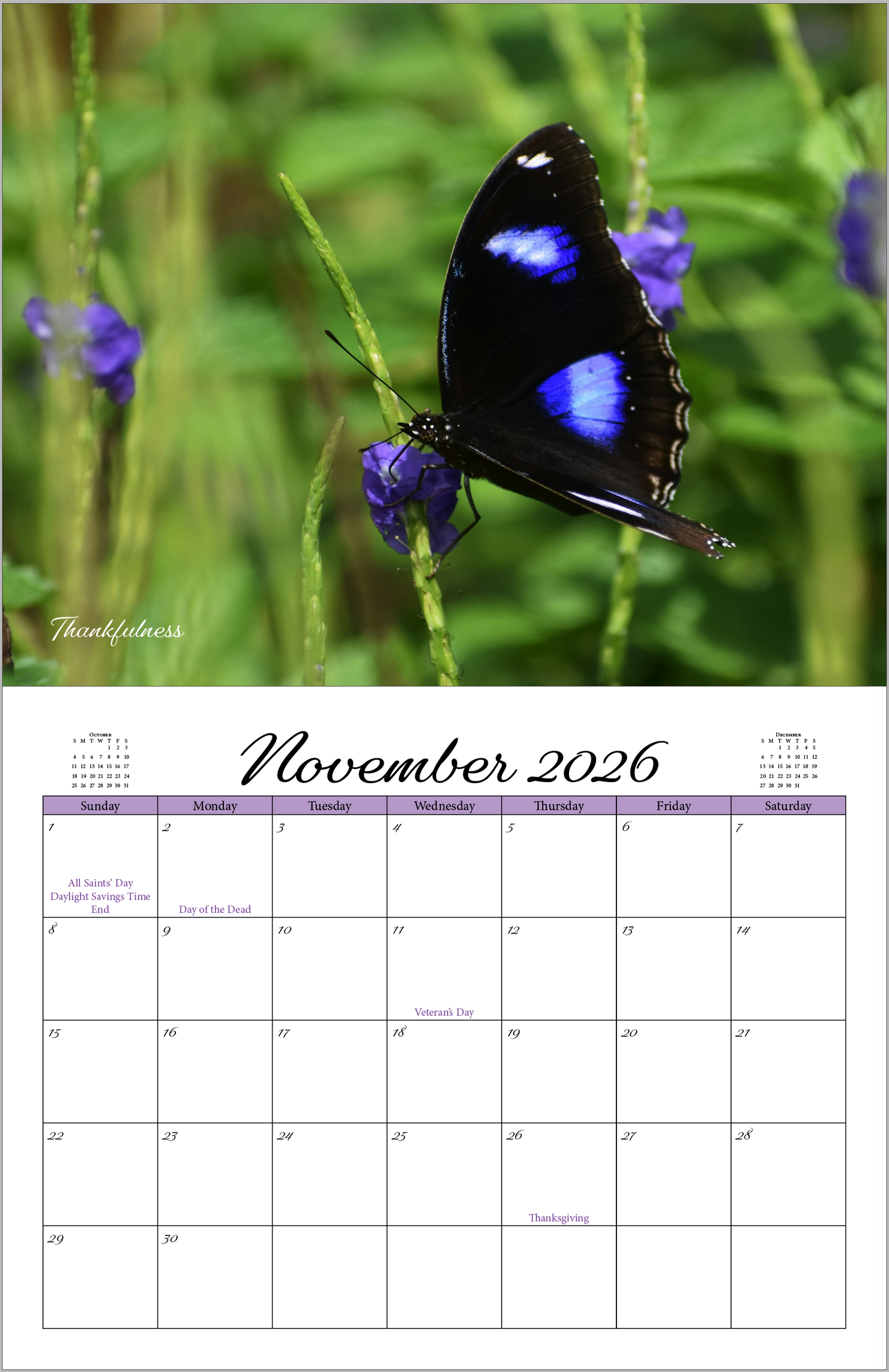 Beautiful "Butterflies" 2026 - 2027 Wall Calendar