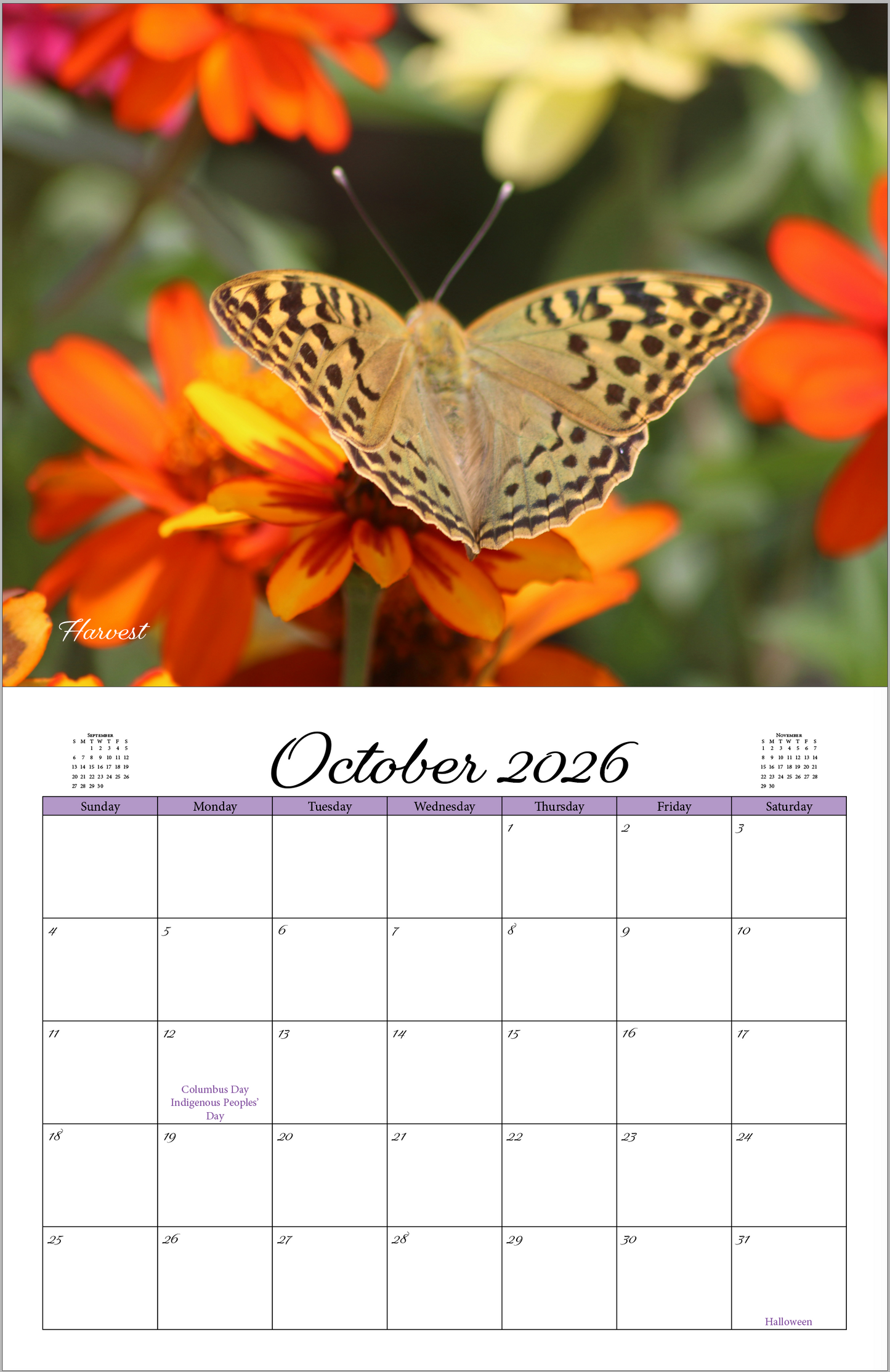 Beautiful "Butterflies" 2026 - 2027 Wall Calendar