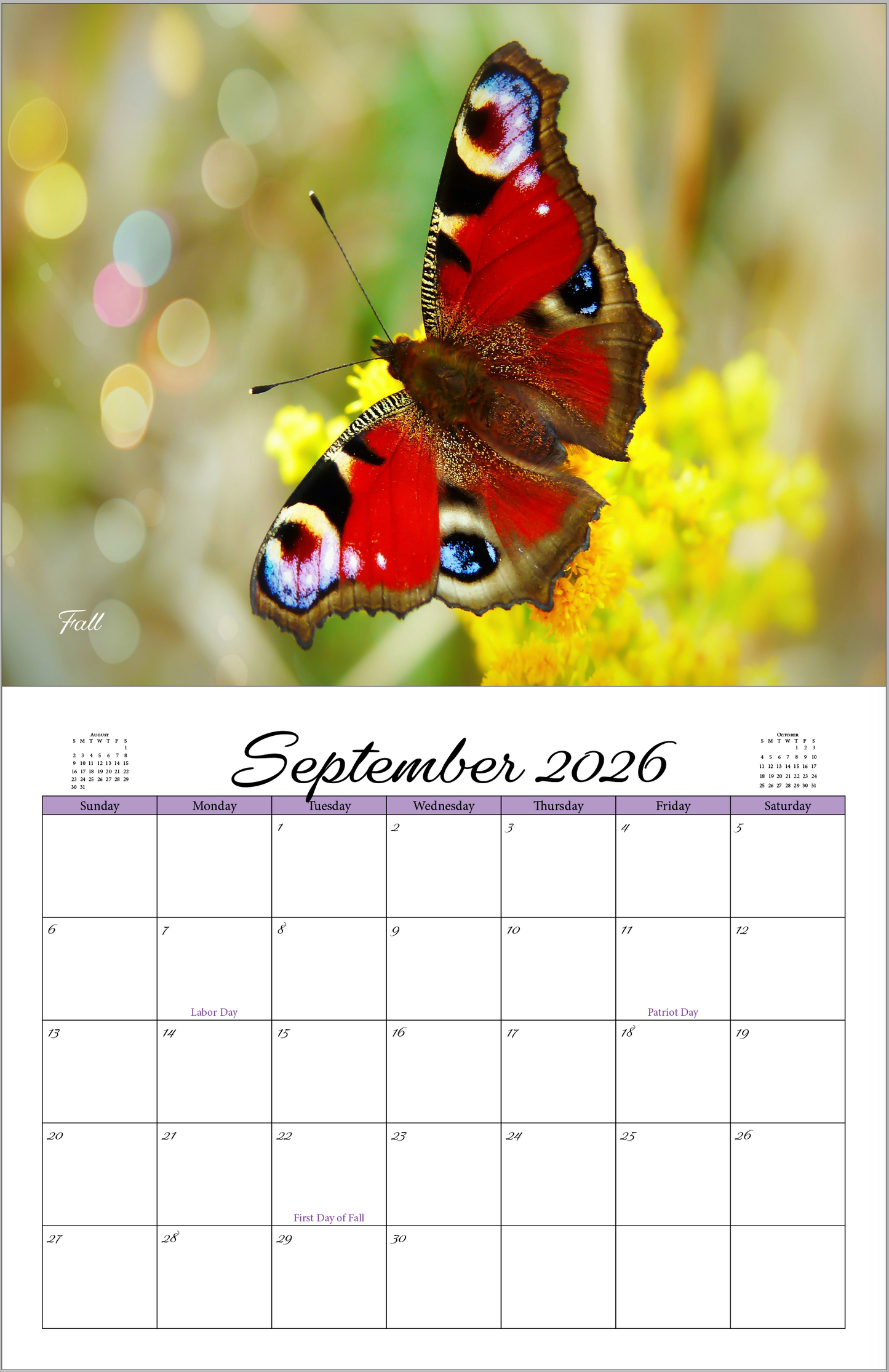 Beautiful "Butterflies" 2026 - 2027 Wall Calendar