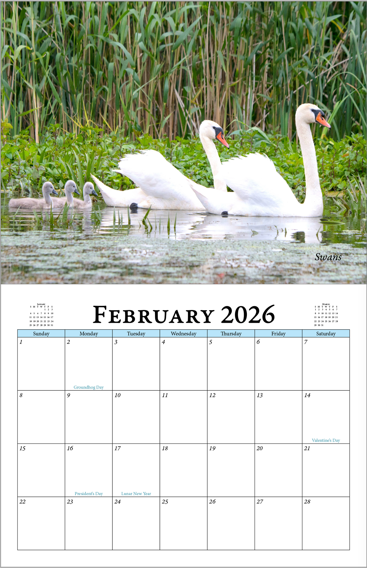 Enchanted "Wildlife" 2026 - 2027 Wall Calendar