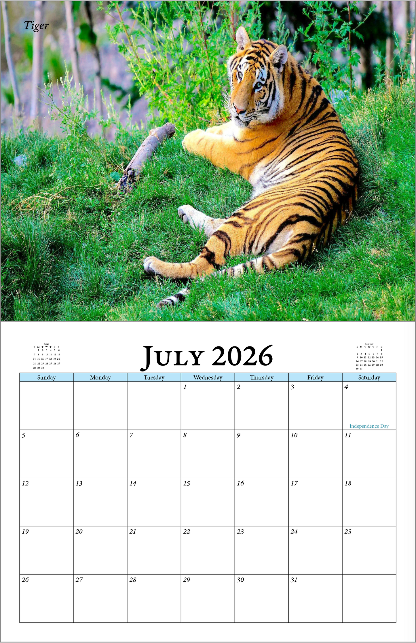 Enchanted "Wildlife" 2026 - 2027 Wall Calendar