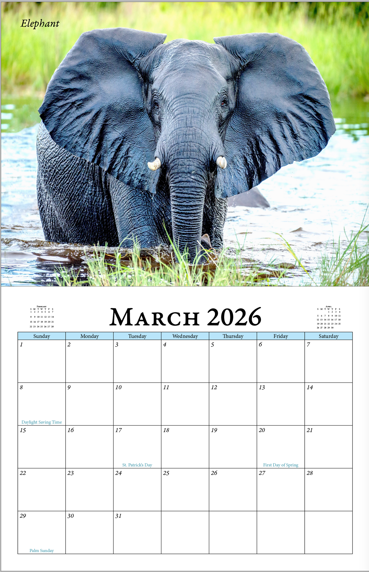 Enchanted "Wildlife" 2026 - 2027 Wall Calendar