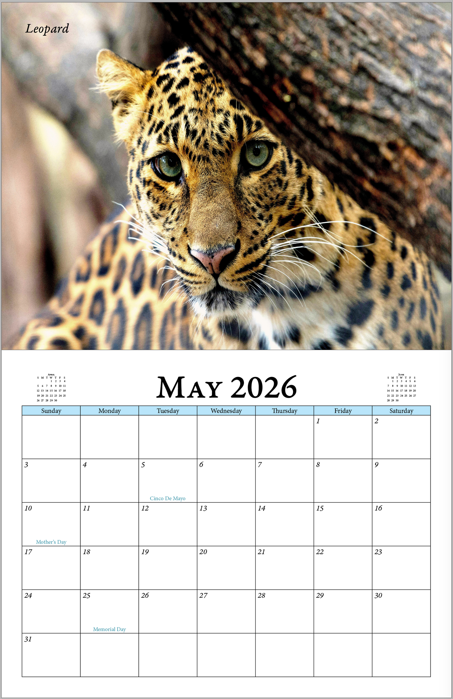 Enchanted "Wildlife" 2026 - 2027 Wall Calendar
