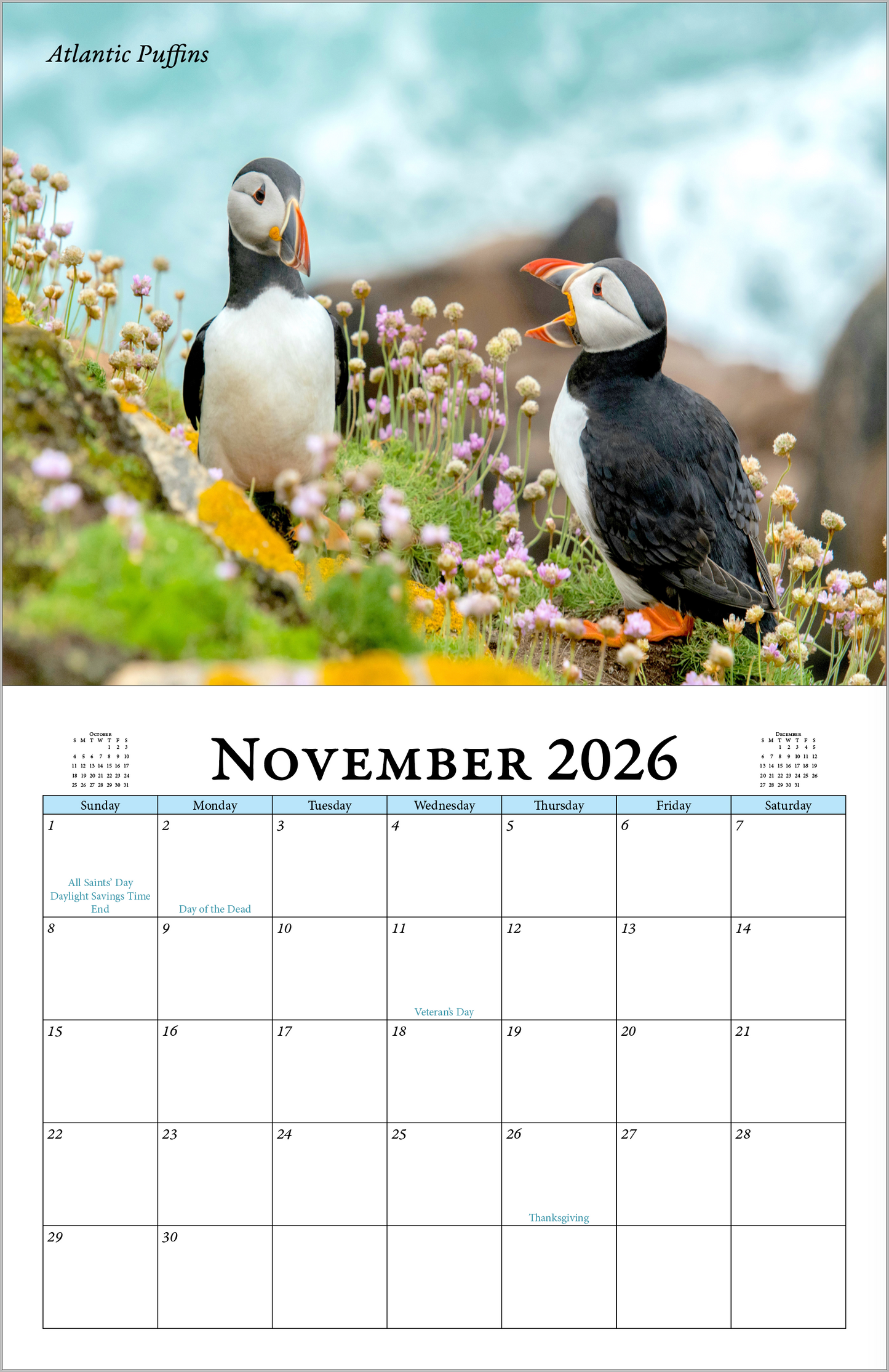 Enchanted "Wildlife" 2026 - 2027 Wall Calendar