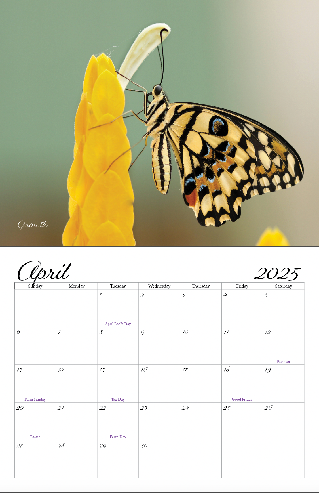 Beautiful "Butterflies" Special Edition 2025 Wall Calendar