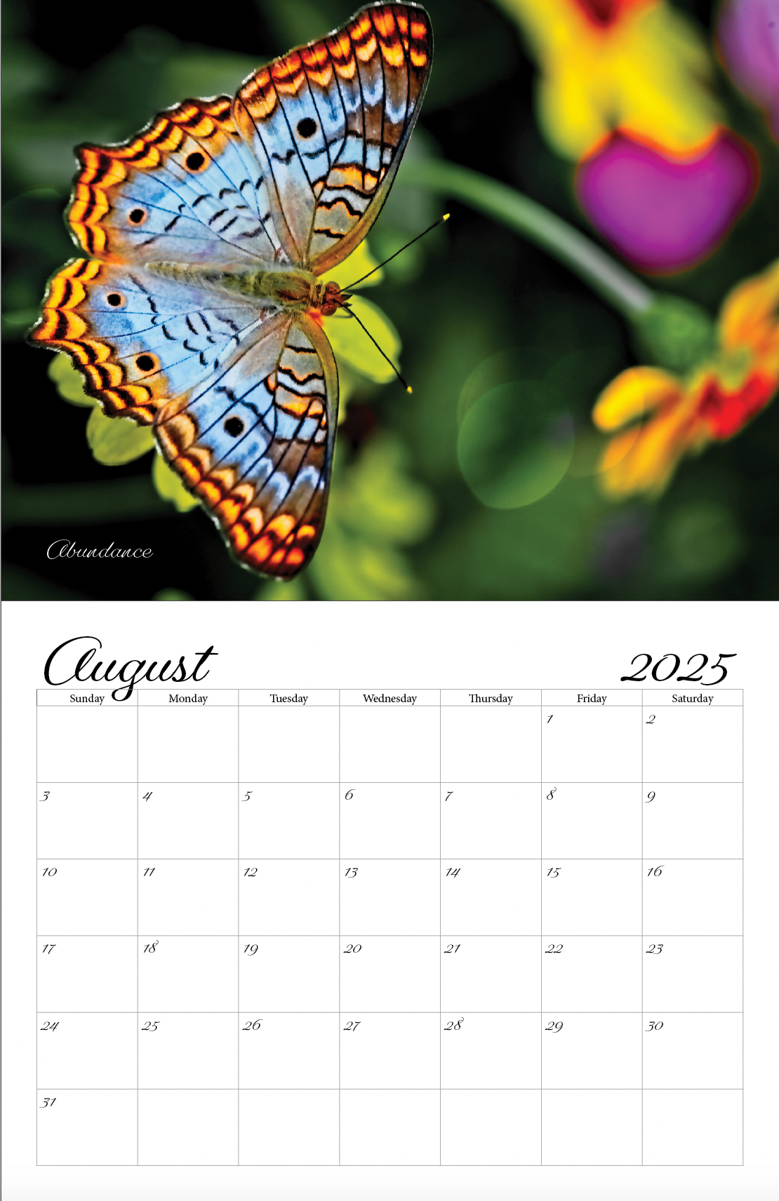 Beautiful "Butterflies" Special Edition 2025 Wall Calendar