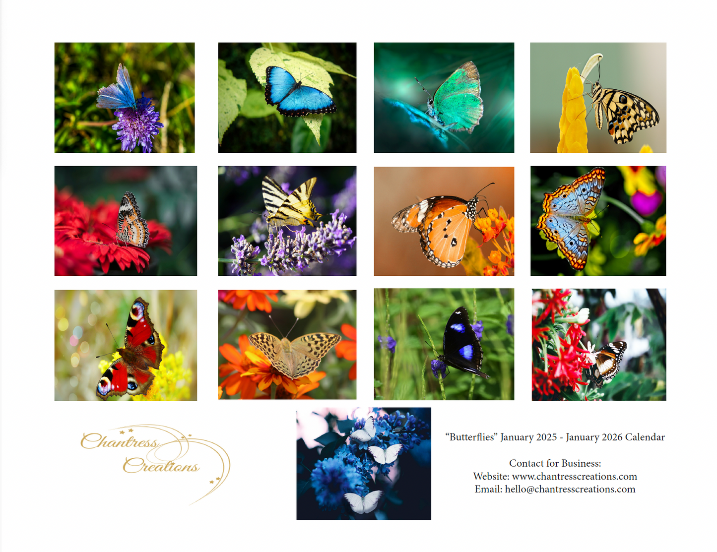 Beautiful "Butterflies" Special Edition 2025 Wall Calendar
