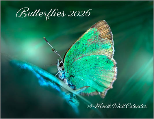 Beautiful "Butterflies" 2026 Wall Calendar