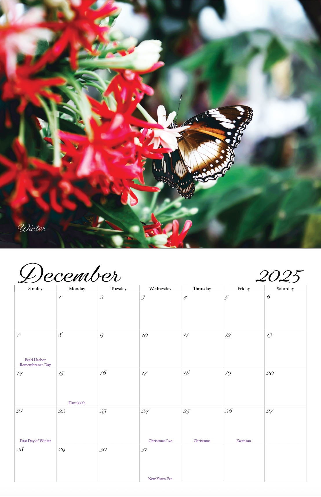 Beautiful "Butterflies" Special Edition 2025 Wall Calendar