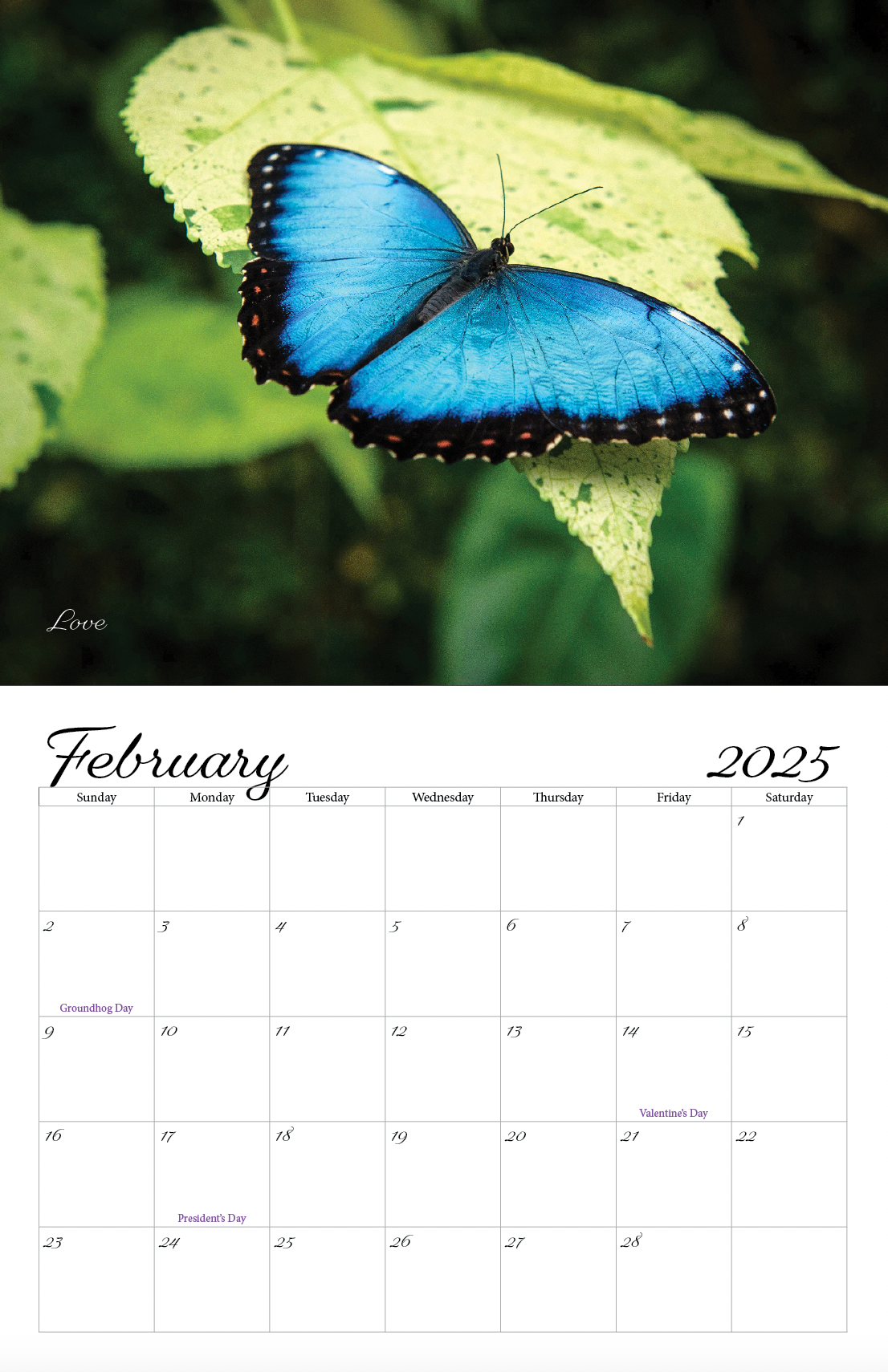 Beautiful "Butterflies" Special Edition 2025 Wall Calendar