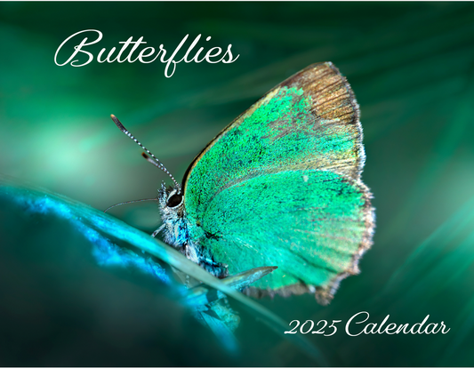 Beautiful "Butterflies" Special Edition 2025 Wall Calendar