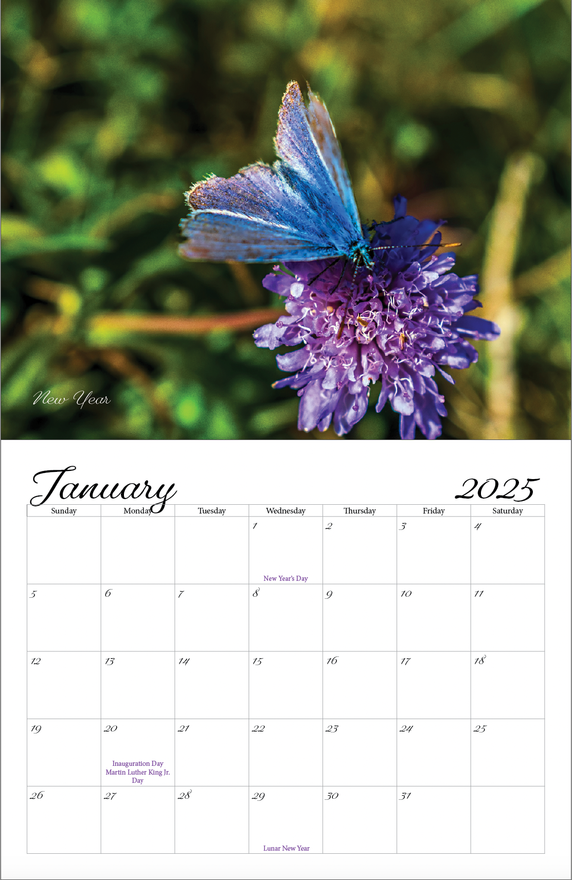 Beautiful "Butterflies" Special Edition 2025 Wall Calendar