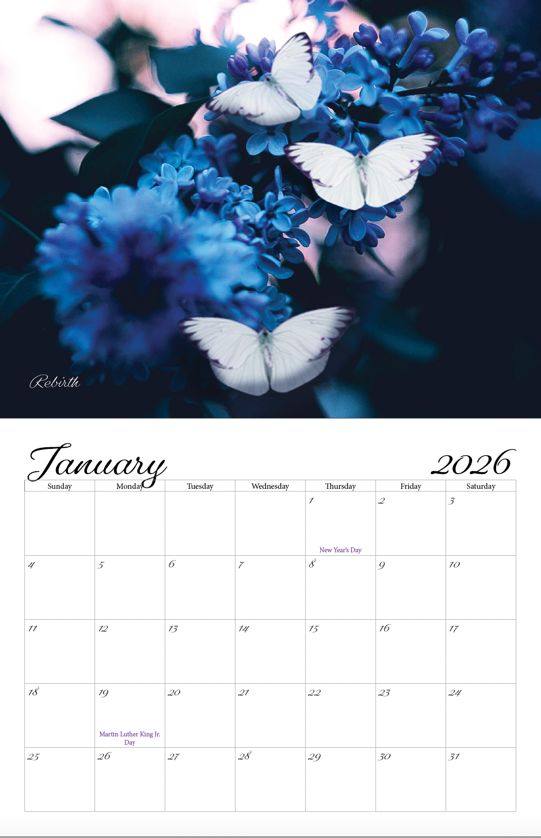 Beautiful "Butterflies" Special Edition 2025 Wall Calendar