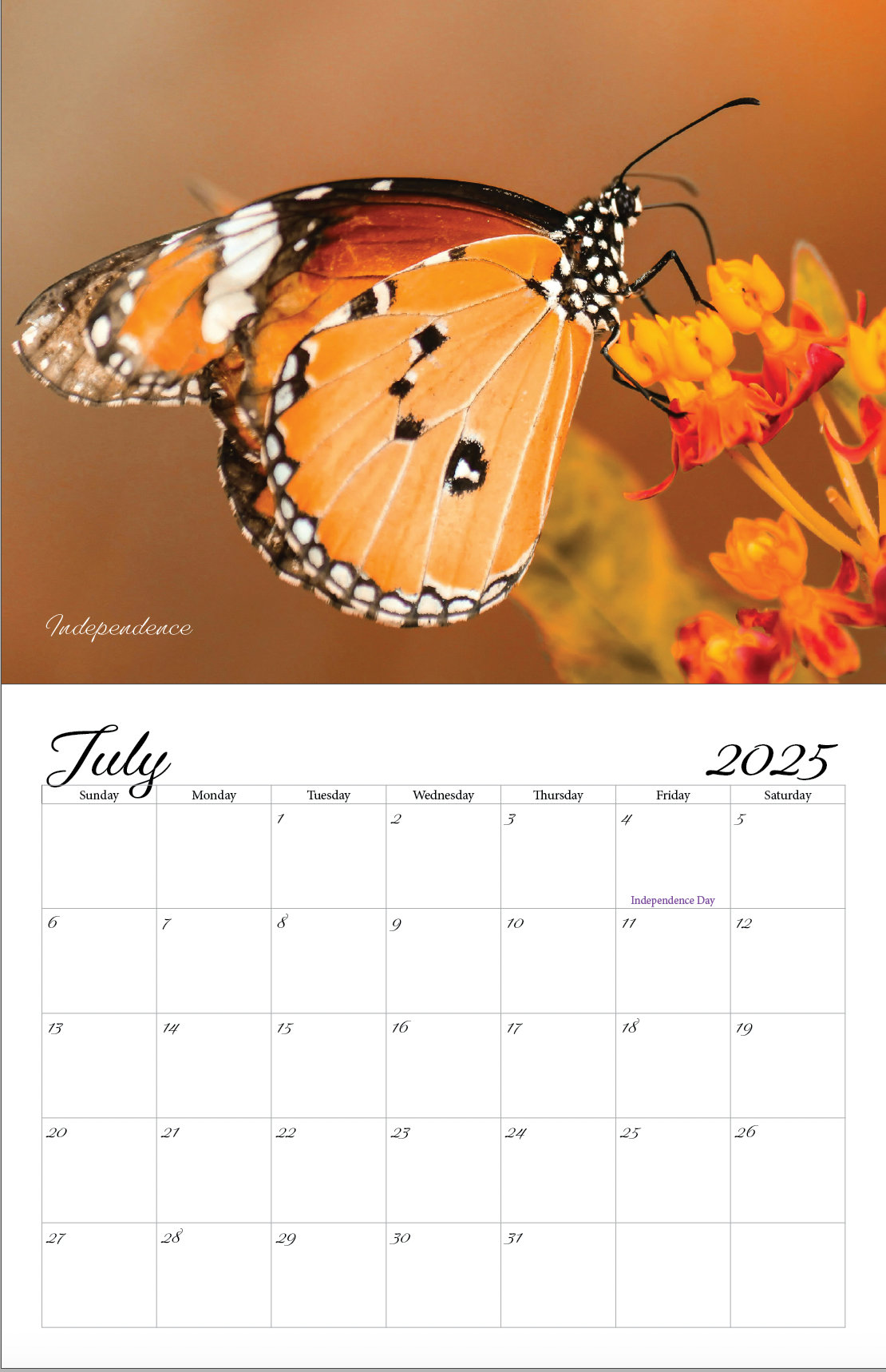 Beautiful "Butterflies" Special Edition 2025 Wall Calendar