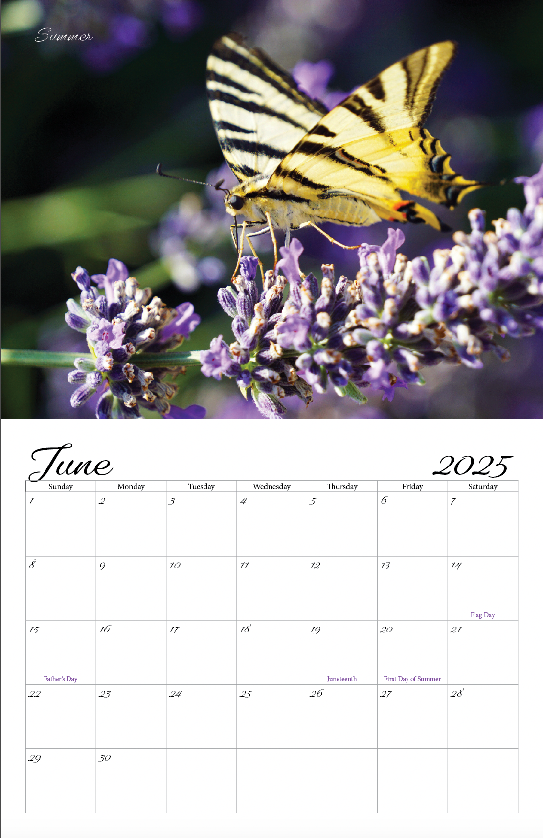Beautiful "Butterflies" Special Edition 2025 Wall Calendar