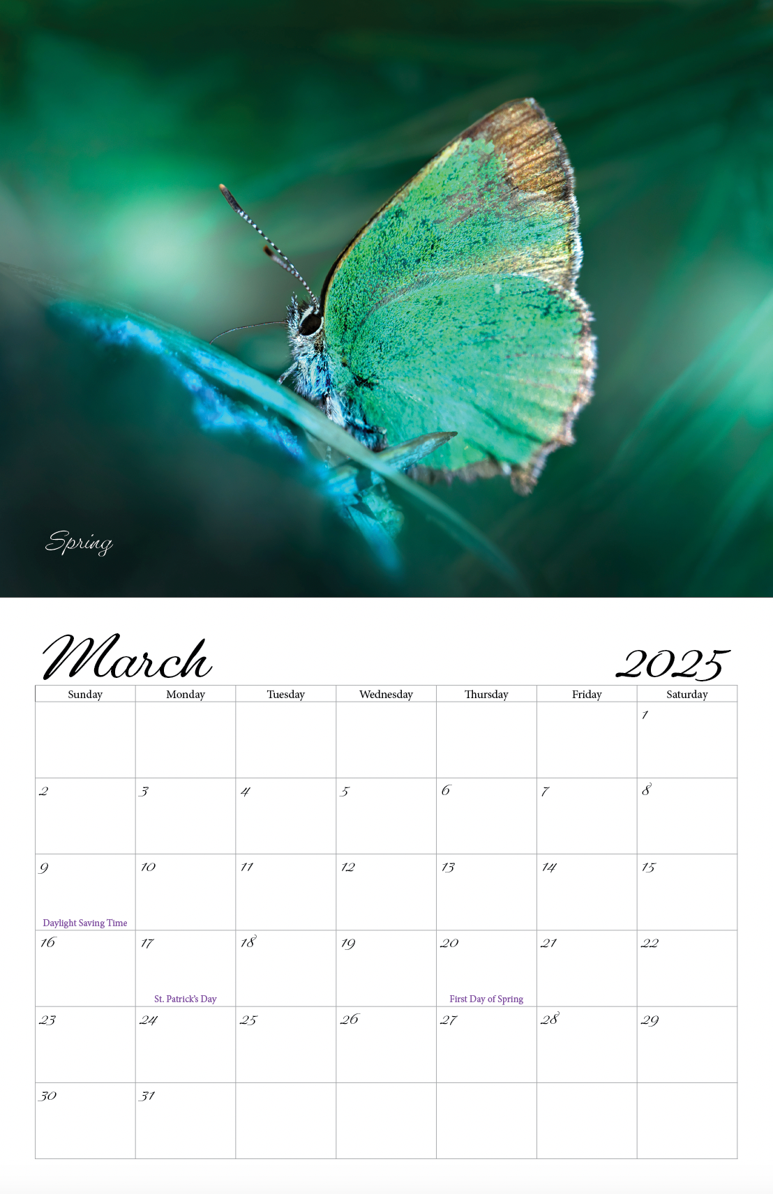 Beautiful "Butterflies" Special Edition 2025 Wall Calendar