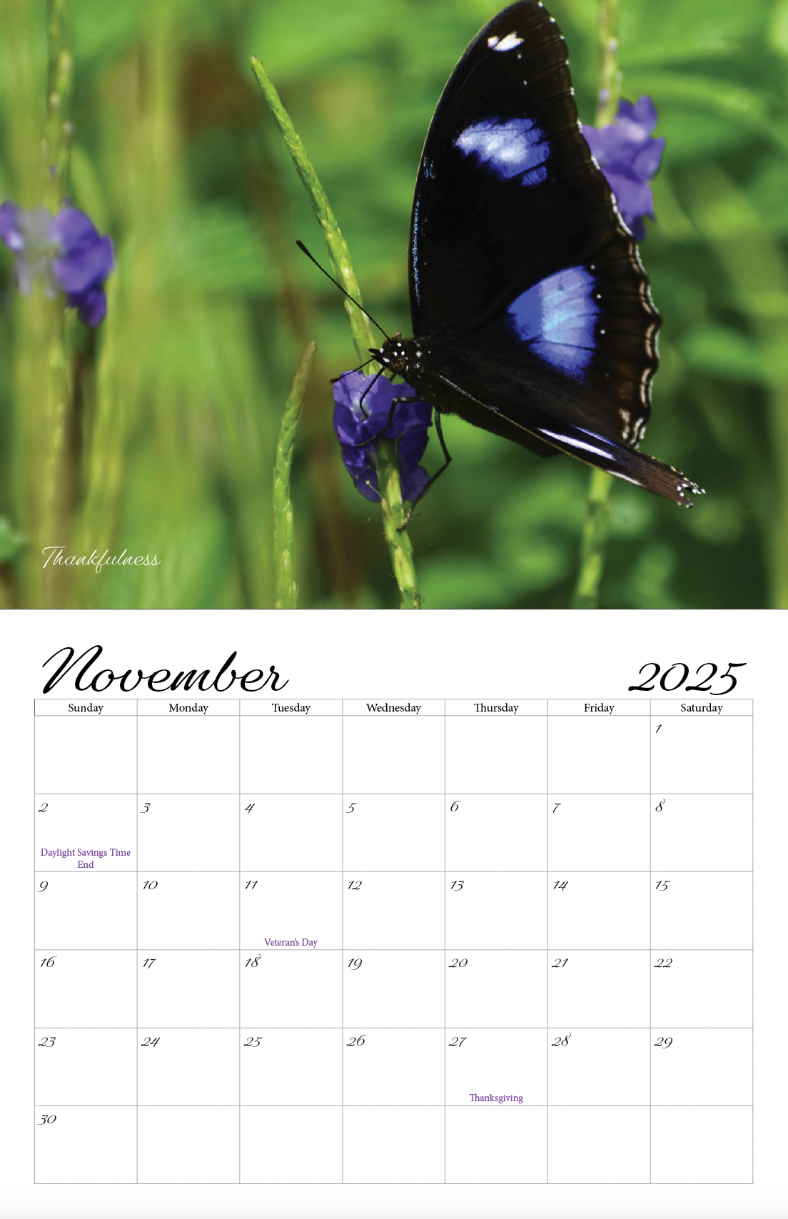 Beautiful "Butterflies" Special Edition 2025 Wall Calendar