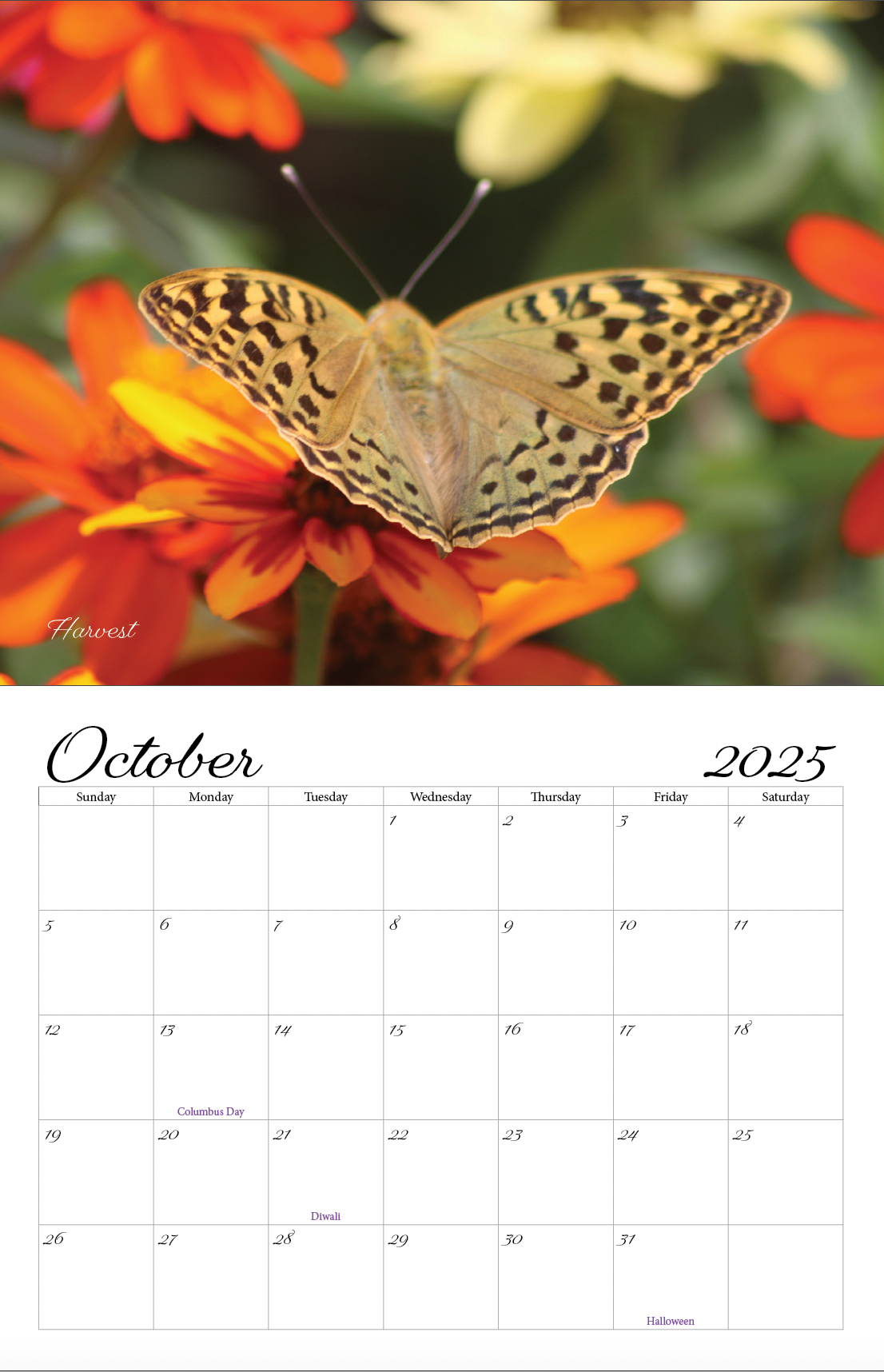 Beautiful "Butterflies" Special Edition 2025 Wall Calendar