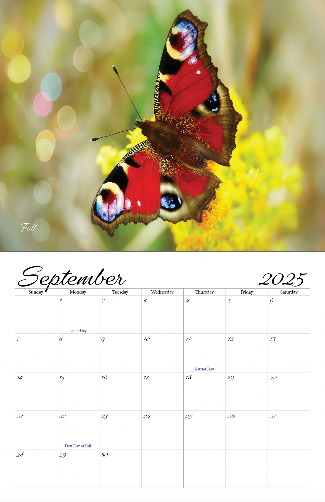 Beautiful "Butterflies" Special Edition 2025 Wall Calendar