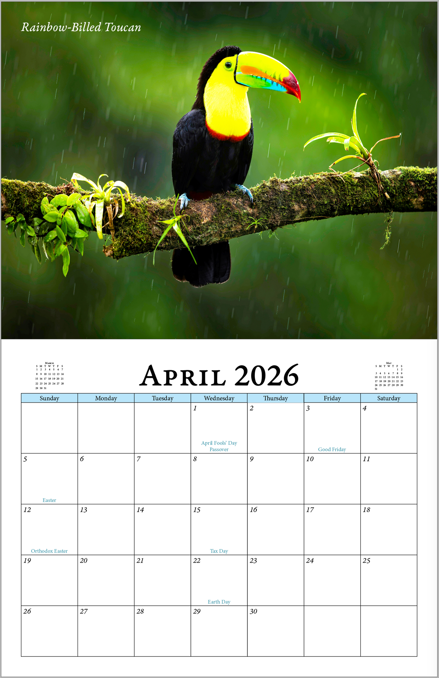 Enchanted "Wildlife" 2026 - 2027 Wall Calendar