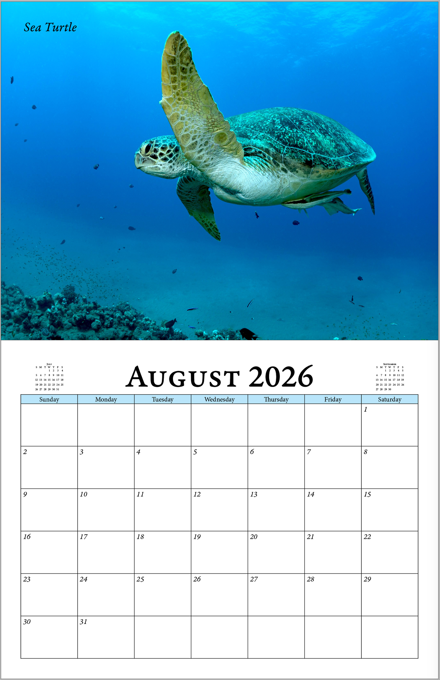 Enchanted "Wildlife" 2026 - 2027 Wall Calendar