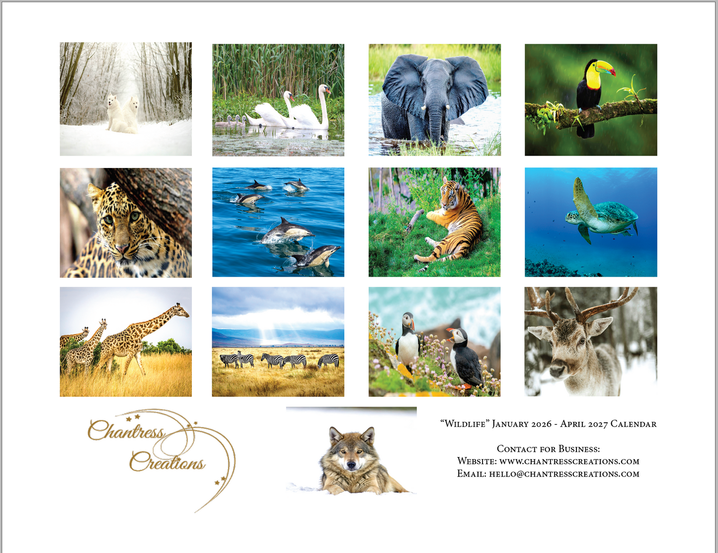 Enchanted "Wildlife" 2026 - 2027 Wall Calendar