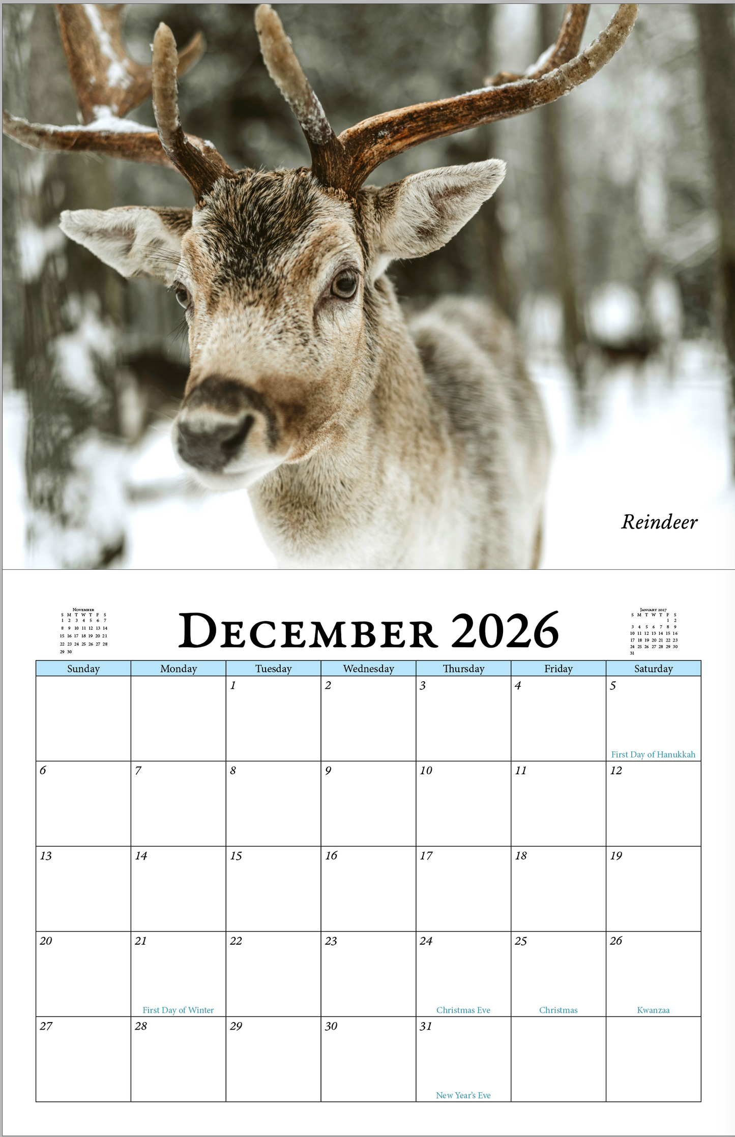 Enchanted "Wildlife" 2026 - 2027 Wall Calendar