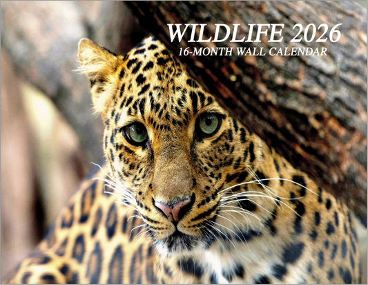 Enchanted "Wildlife" 2026 Wall Calendar
