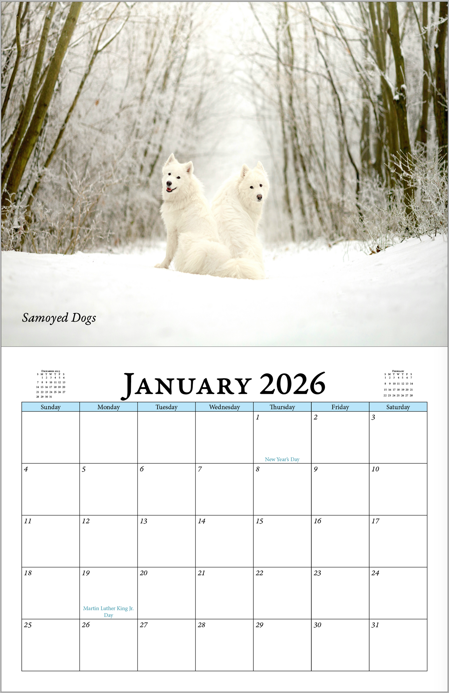 Enchanted "Wildlife" 2026 - 2027 Wall Calendar