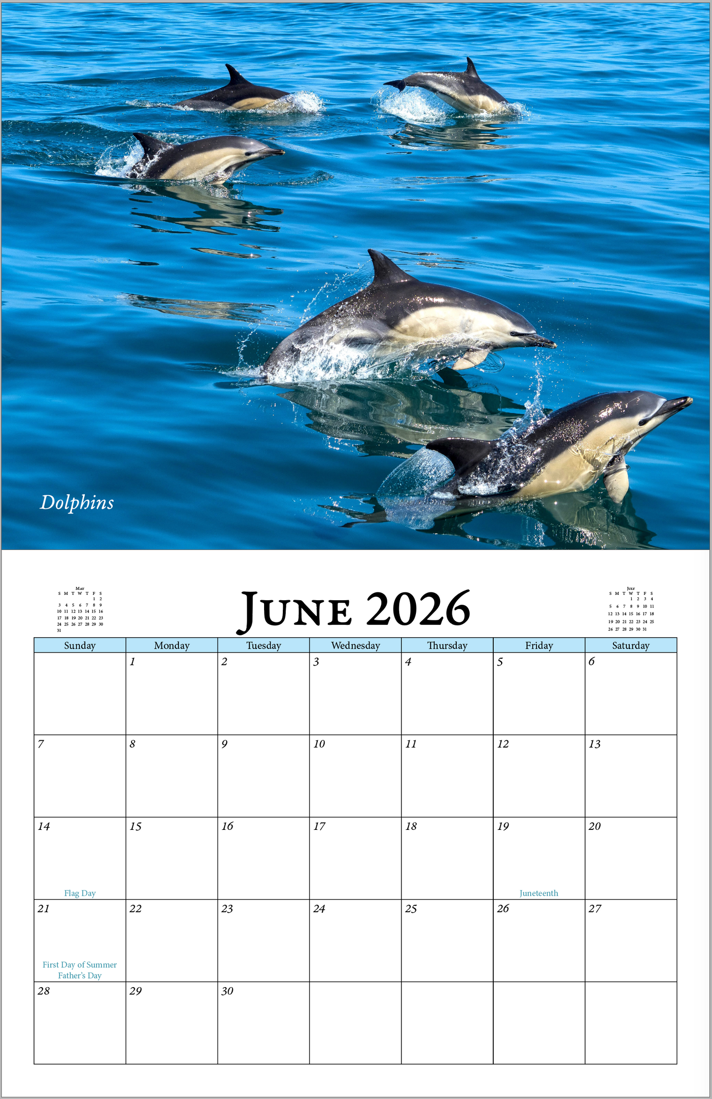 Enchanted "Wildlife" 2026 - 2027 Wall Calendar