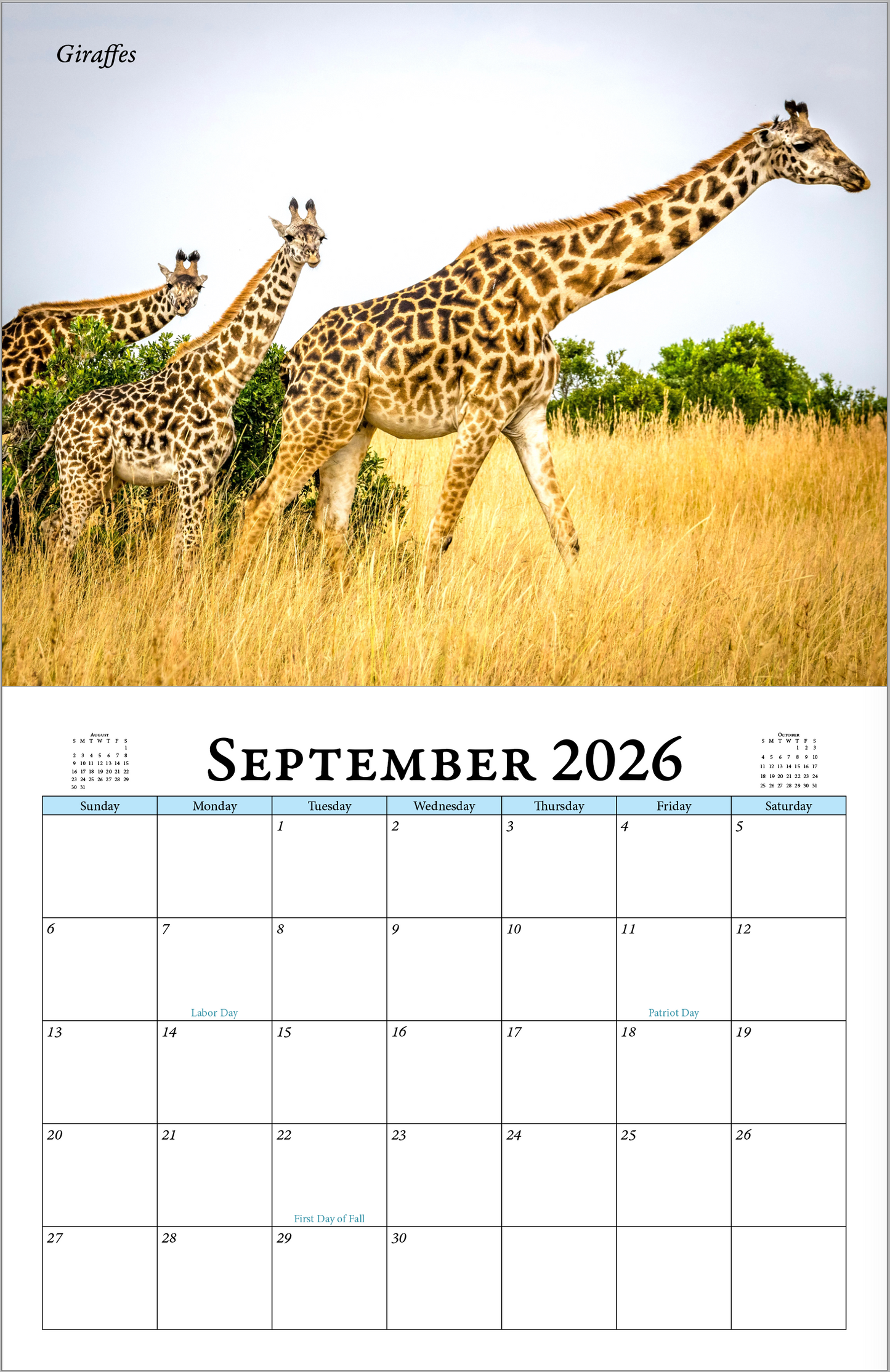 Enchanted "Wildlife" 2026 - 2027 Wall Calendar